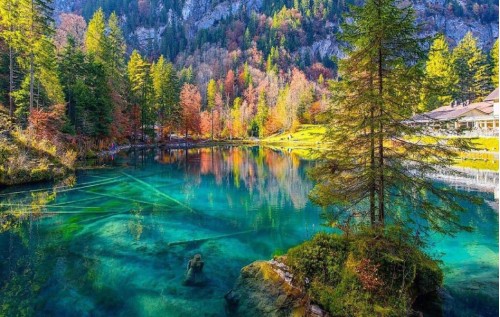 Blausee – Viên ngọc xanh huyền thoại giữa lòng Thụy Sĩ
